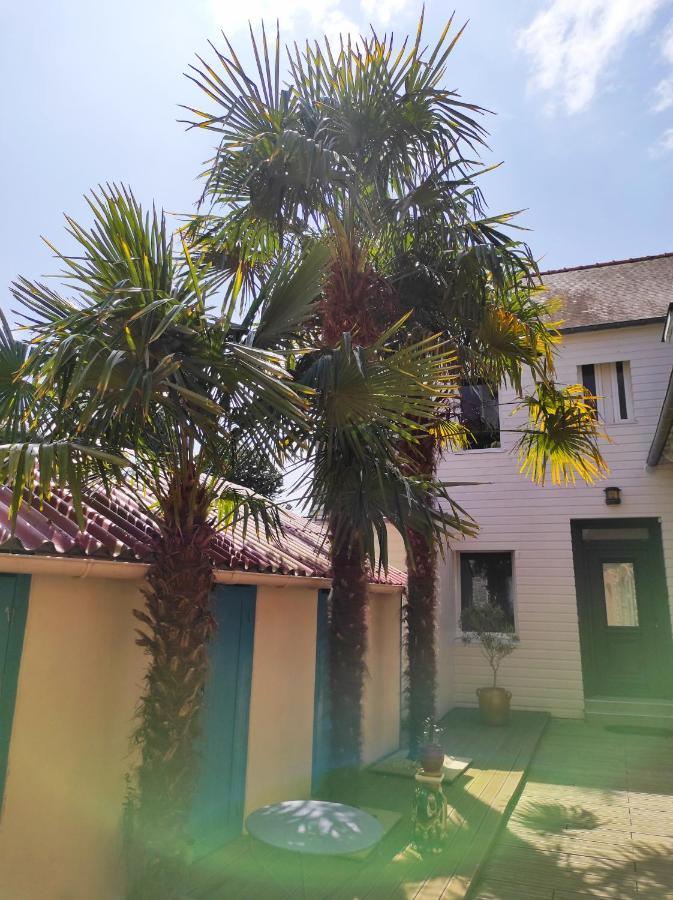 Aux Trois Palmiers Bed & Breakfast Saint-Brieuc Ngoại thất bức ảnh